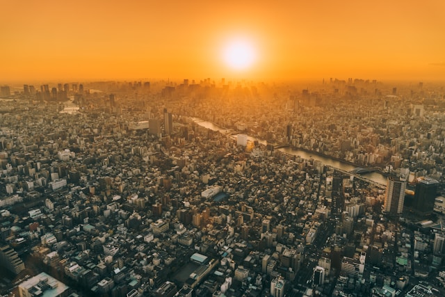The Future of Solar Panels: Innovations You Need to Know