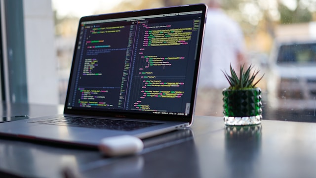 Why Hiring an App Developer is the Smartest Move for Your Biz