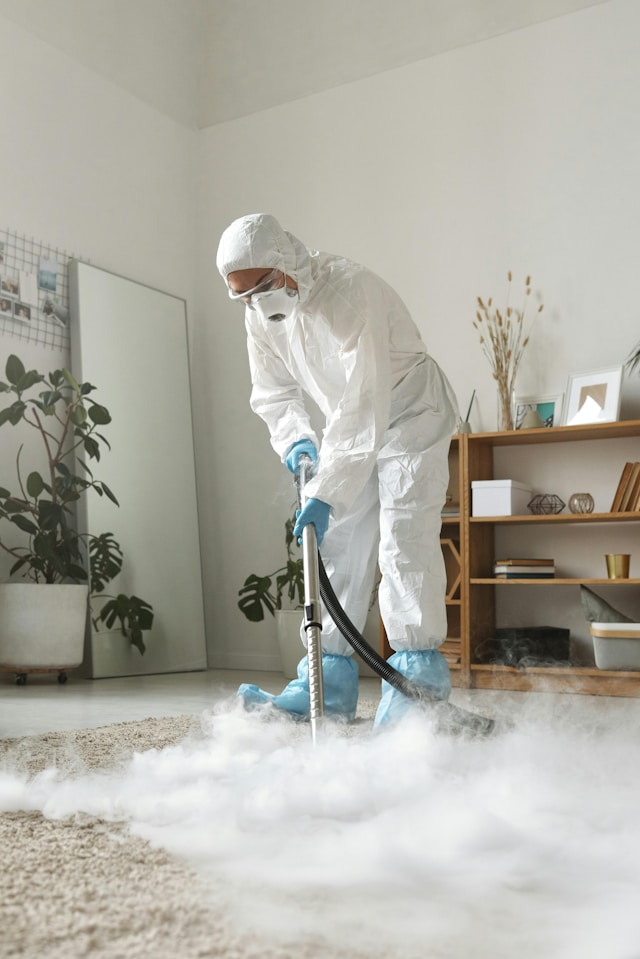 moldremoval.sg: Mold Problems in Condos and HDB Flats