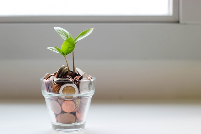 auditfirm.sg Financial Audit Firm and ESG Reporting Demand